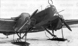 Dates09074.jpg
