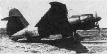 Selakov002.jpg