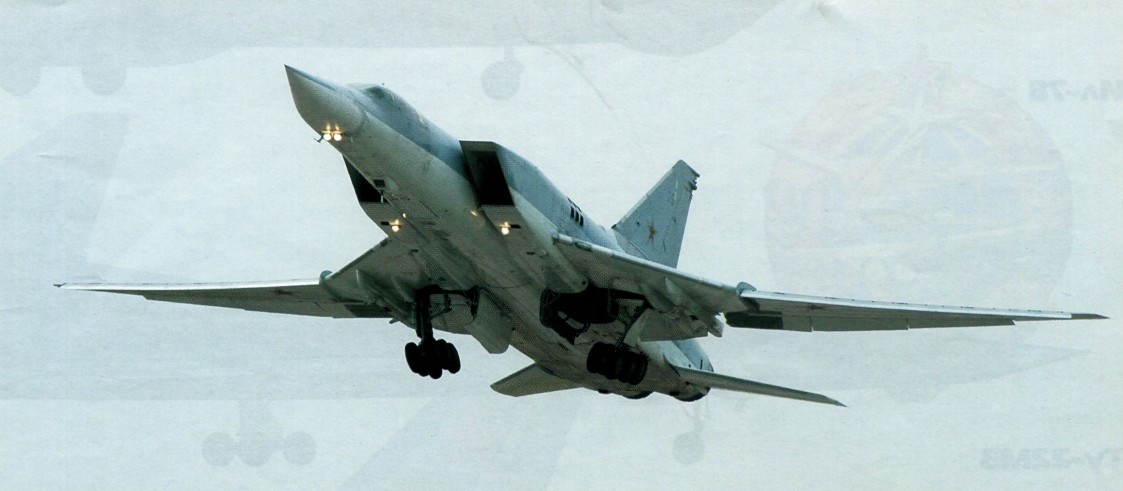 181ae199012.jpg