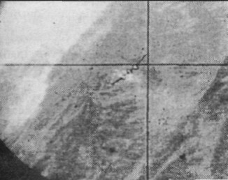 237cp008.jpg