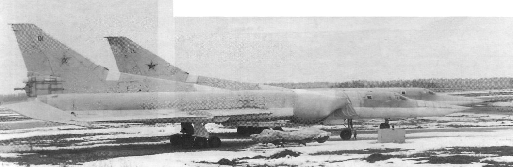 43cbp010.jpg