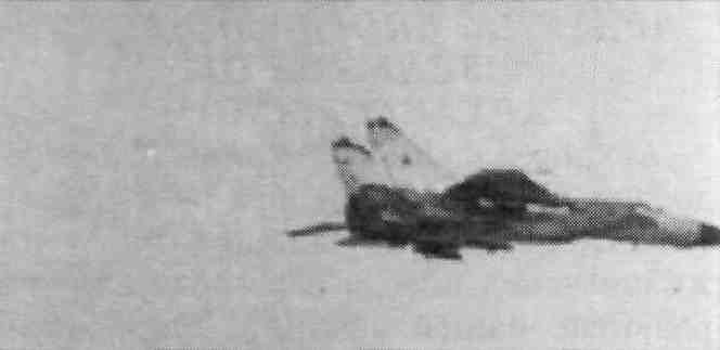 AAM02048.jpg