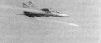 AAM02049.jpg