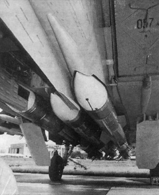 AAM02058.jpg