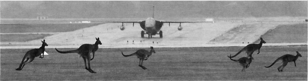 AFAus002.jpg