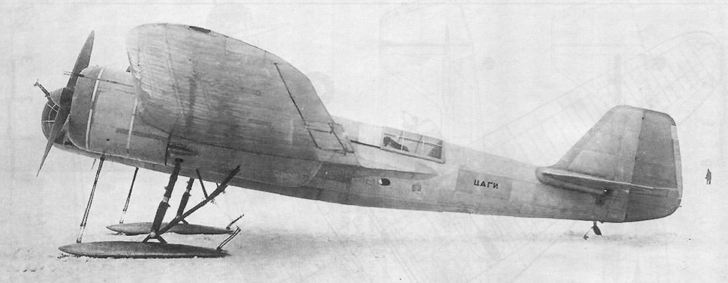 AR-2039.jpg