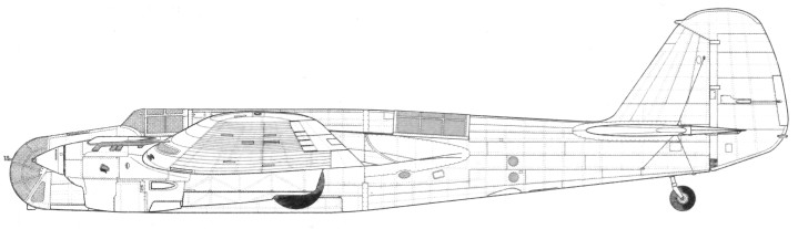 AR-2081.jpg