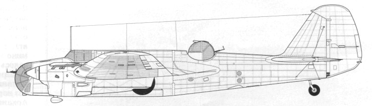 AR-2095.jpg