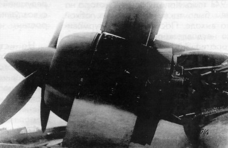 ASH-82012.jpg