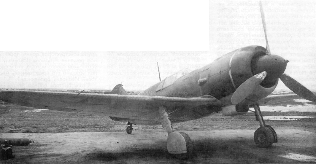 ASH-82019.jpg