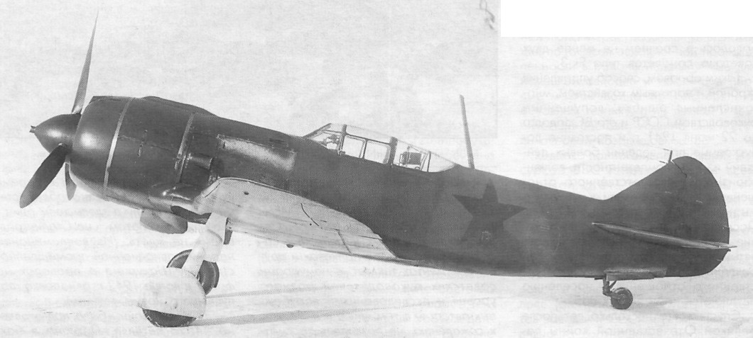 ASH-82022.jpg