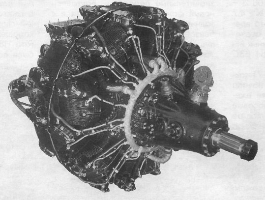 ASH-82023.jpg