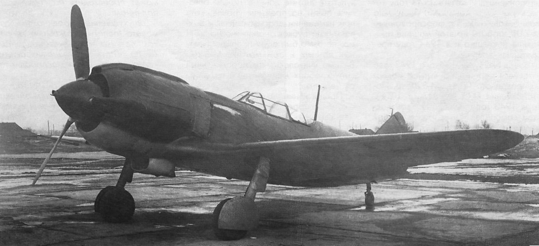 ASH-82024.jpg