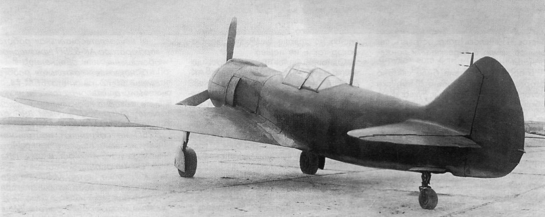 ASH-82025.jpg
