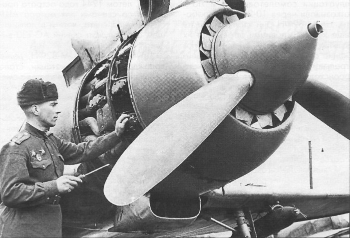 ASH-82035.jpg