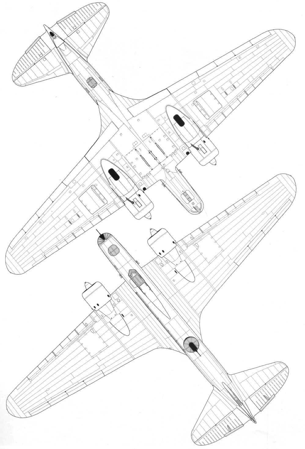 DB-3029.jpg