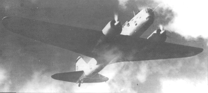 DB-3036.jpg