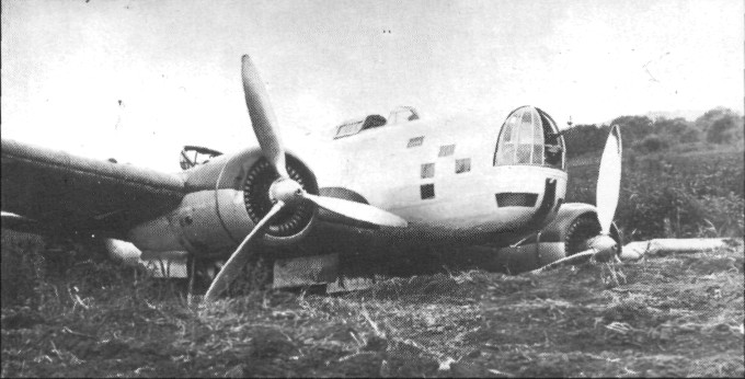DB-3073.jpg