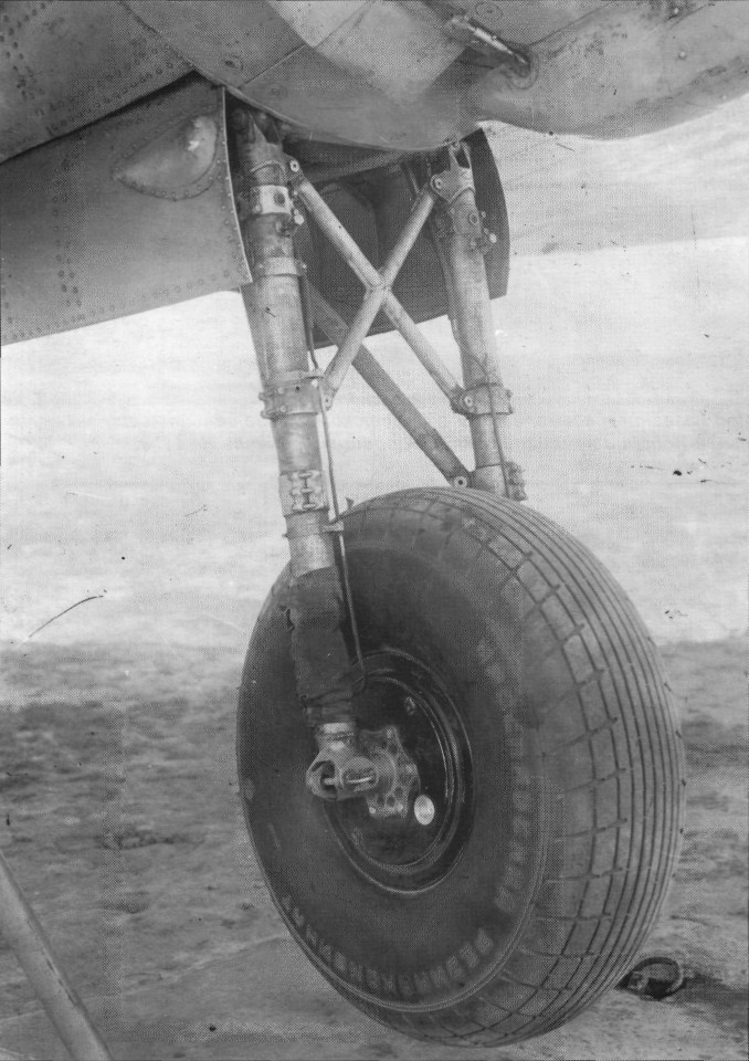 DB-3093.jpg