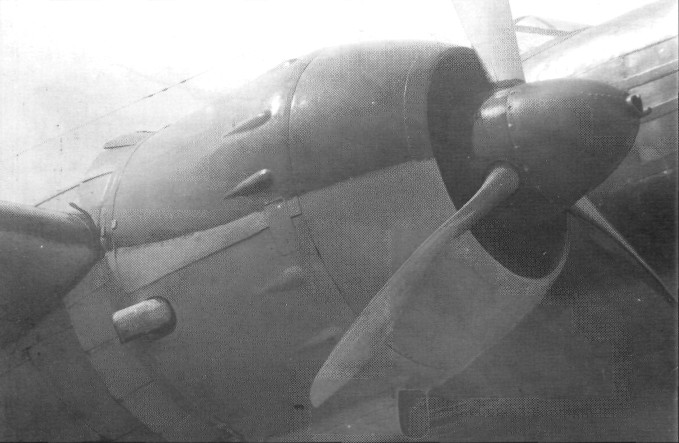 DB-3094.jpg