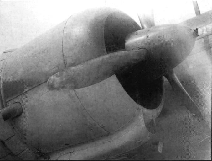 DB-3105.jpg