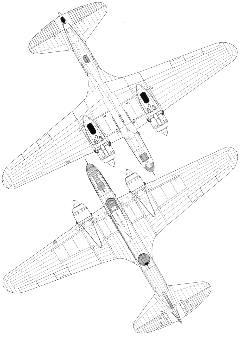 DB-3114.jpg