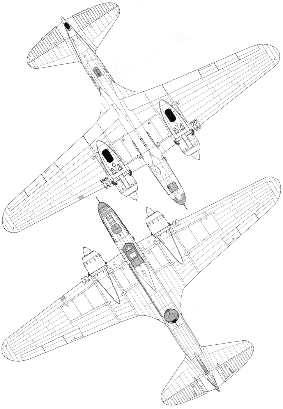 DB-3119.jpg
