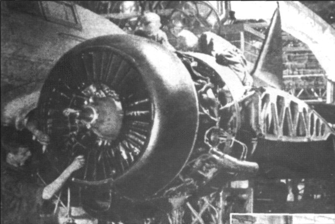DB-3132.jpg