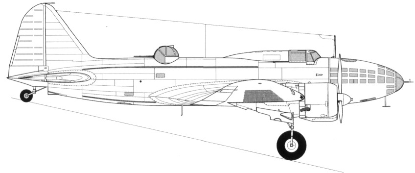 DB-3145.jpg