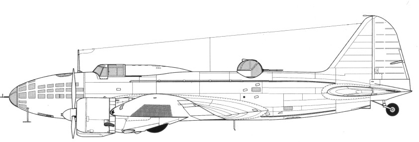 DB-3146.jpg