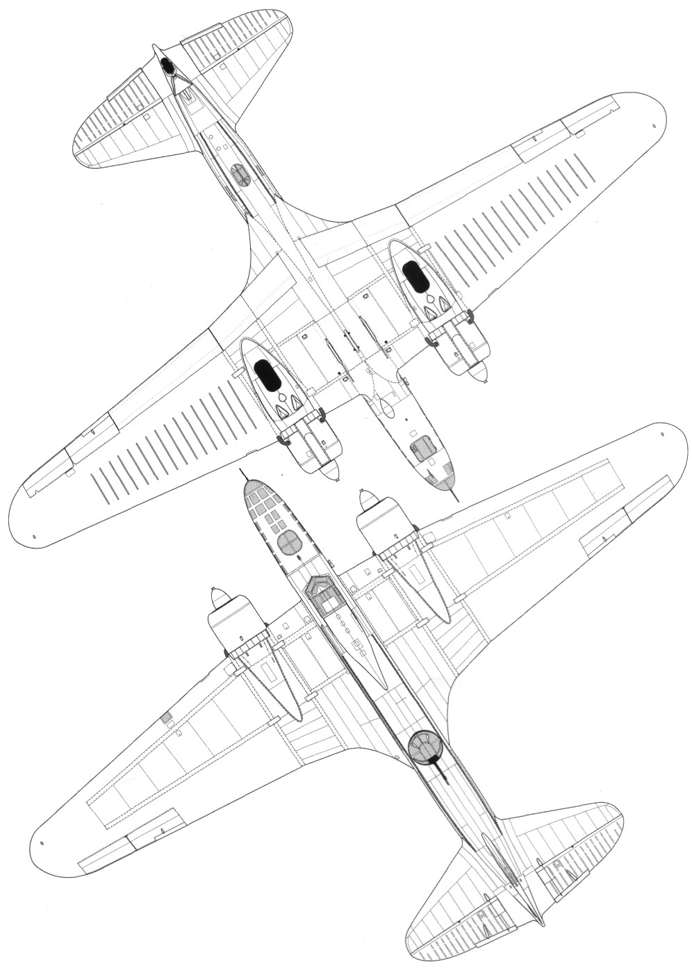 DB-3148.jpg