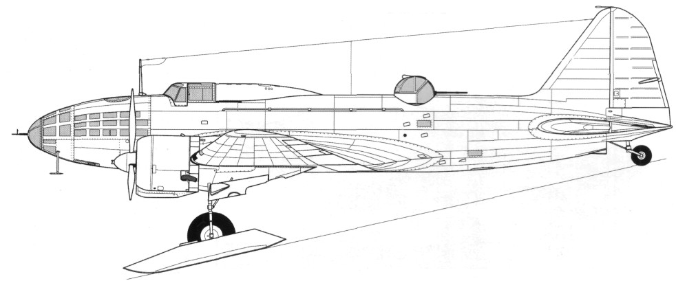 DB-3161.jpg