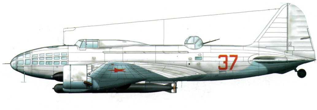 DB-3194.jpg