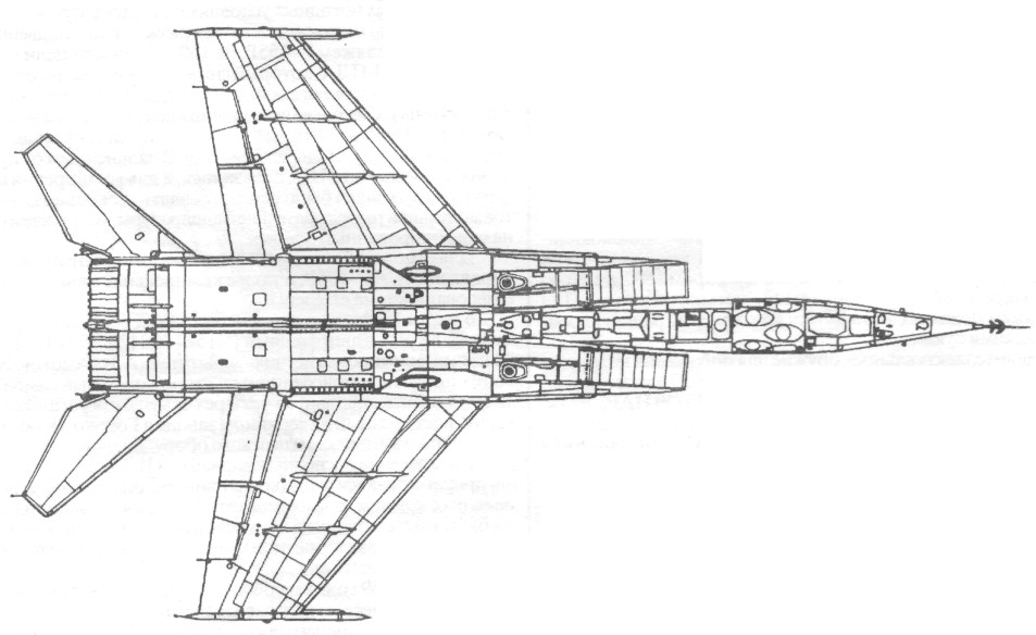 FARu9033.jpg