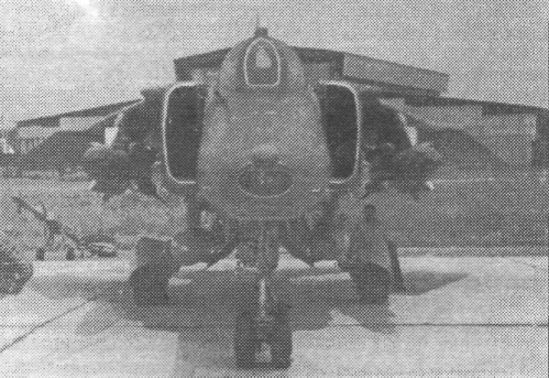 FARu9039.jpg
