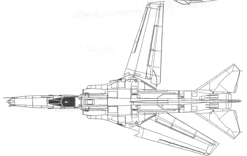 FARu9041.jpg