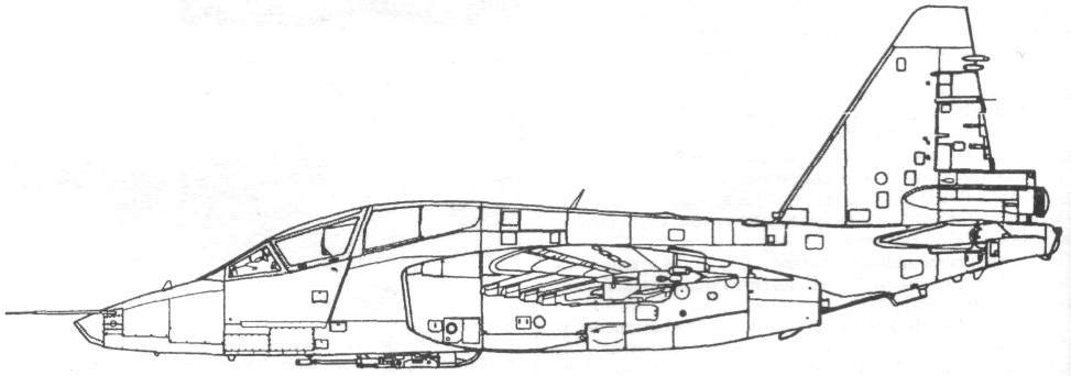FARu9054.jpg