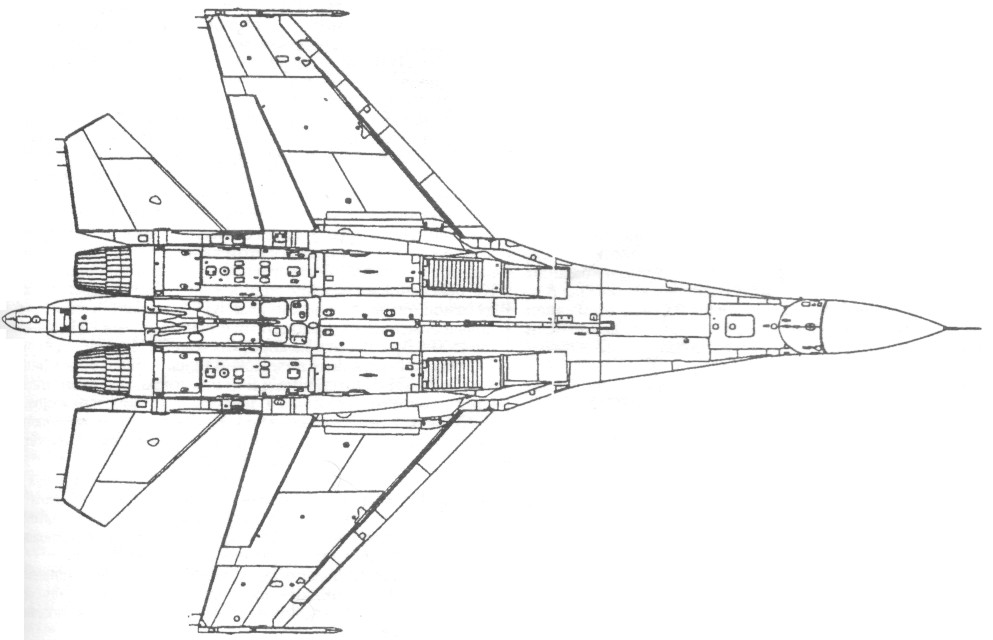 FARu9081.jpg