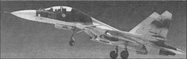 FARu9085.jpg