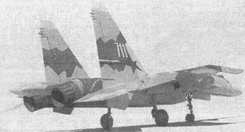 FARu9086.jpg