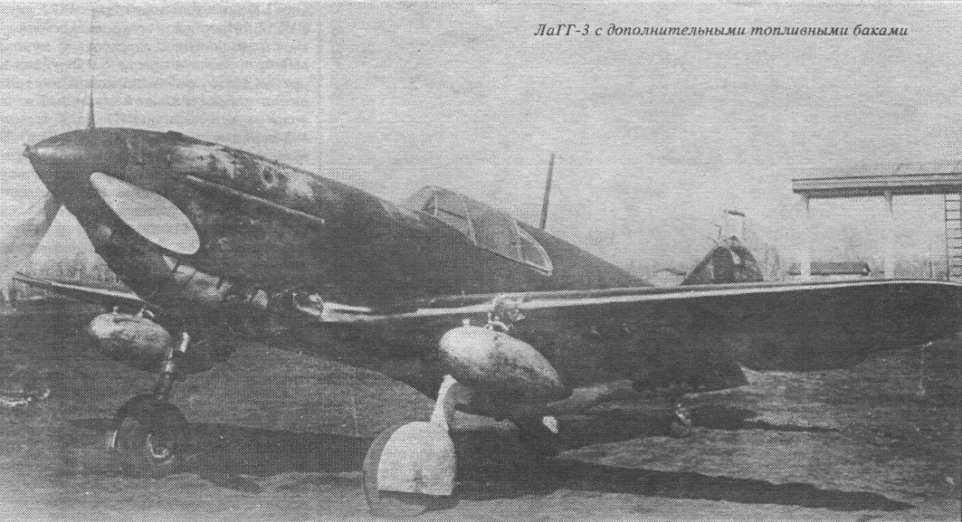 FaLav014.jpg