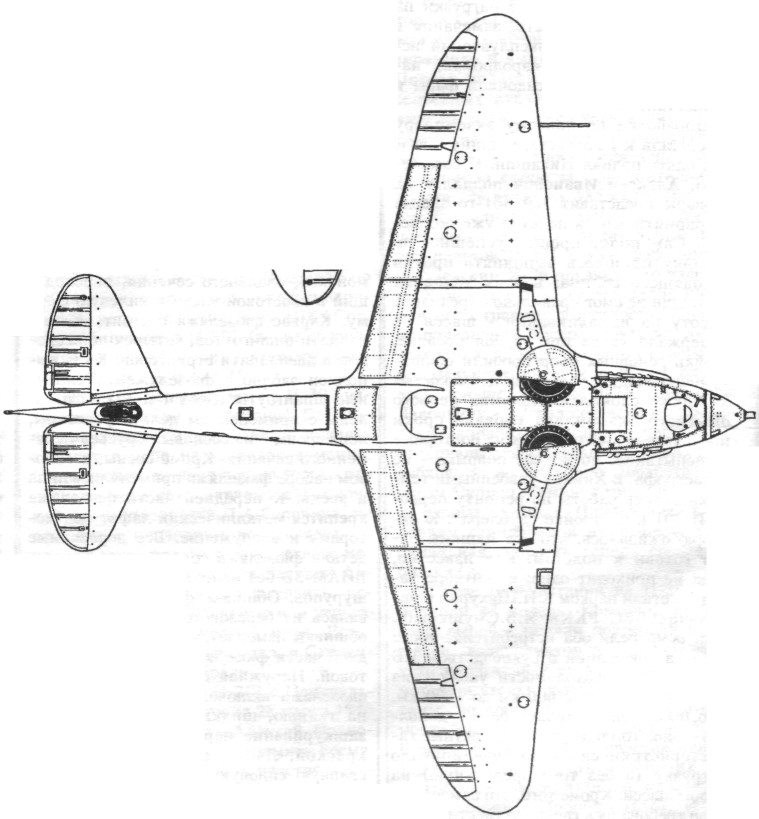 FaLav019.jpg