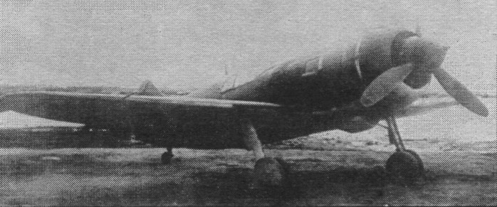 FaLav025.jpg