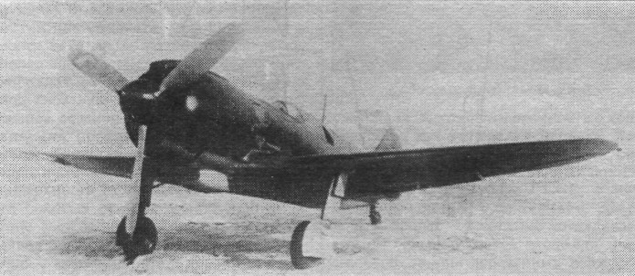FaLav031.jpg