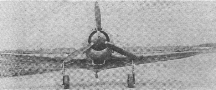 FaLav040.jpg