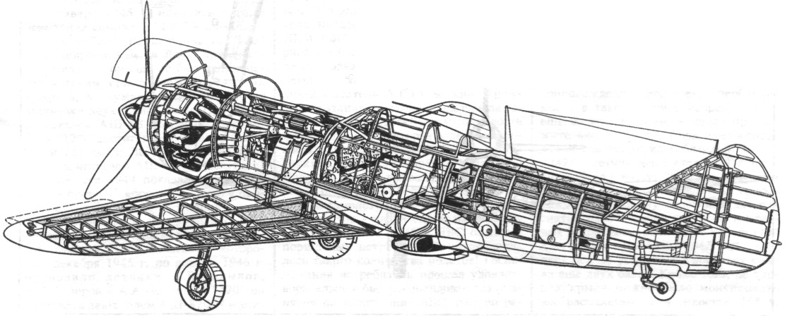 FaLav046.jpg