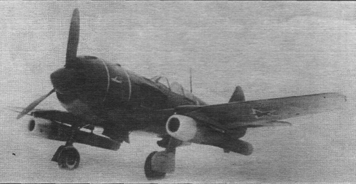FaLav073.jpg