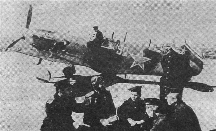 FaLav078.jpg