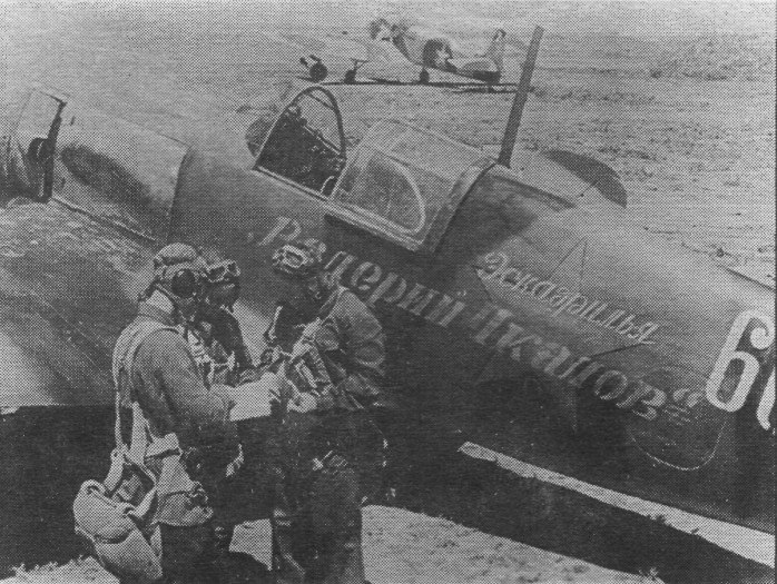 FaLav079.jpg