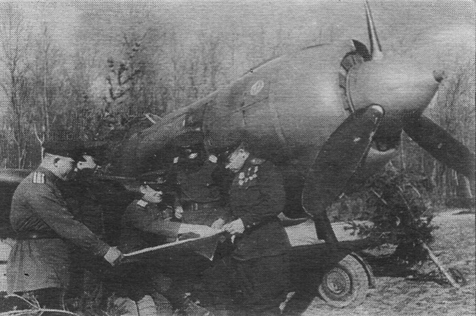 FaLav081.jpg